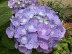 IMG_4596.jpg