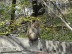 DSC05771.jpg