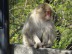 DSC05772.jpg