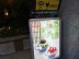 DSC09311.jpg