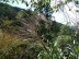 P1020164.jpg
