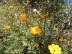 P1020165.jpg