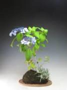 yjimageQ0Y4V3O8.jpg yjimageQ0Y4V3O8.jpg