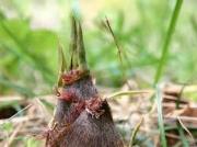 yjimageR5F328JX.jpg yjimageR5F328JX.jpg