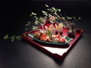 写真 5.JPG 写真 5.JPG