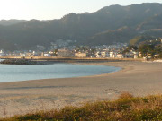 朝の浜　写真.JPG