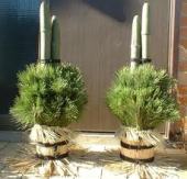 yjimageHZ5AOK9A.jpg yjimageHZ5AOK9A.jpg